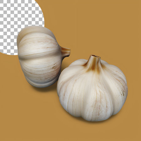 White garlic for spicy concept asset design.の写真素材