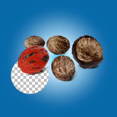 Nutmeg seeds isolated on transparency.の写真素材
