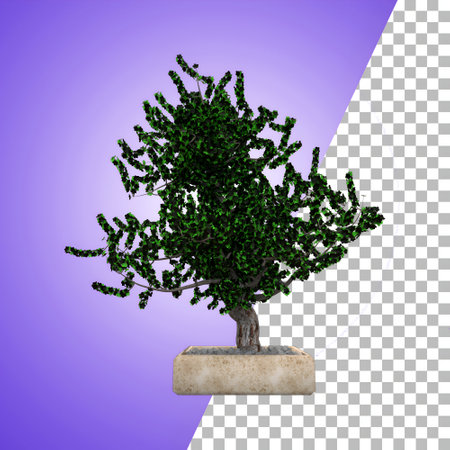 Indoor plant for decoration and asset design.の写真素材