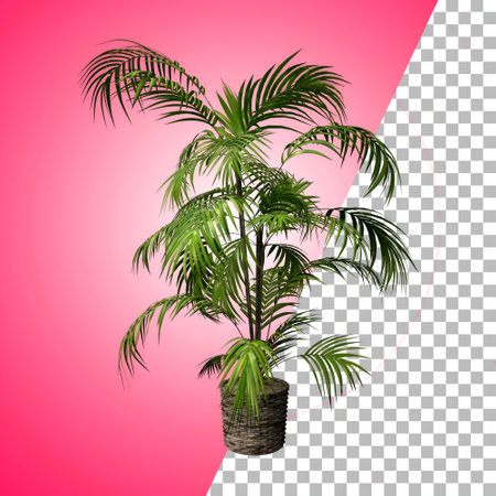 Indoor plant for decoration and asset design.の写真素材