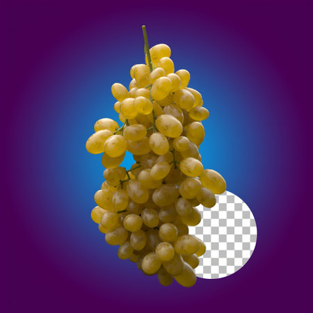 Finest grapes for your element concept.の写真素材