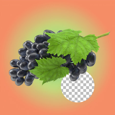 Finest grapes for your element concept.の写真素材