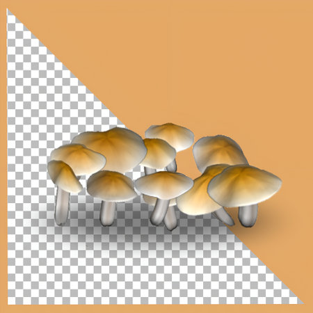3D Cortinarius mushroom plant isolated with transparency.の写真素材