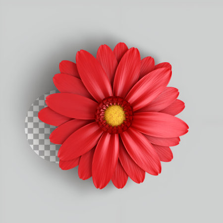 Red flower for your love concept attribute.の写真素材