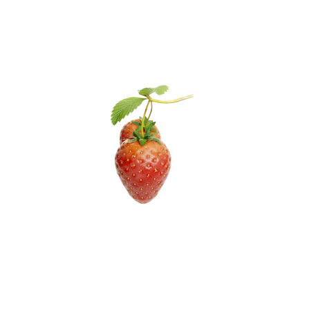 The appearance of fresh strawberries is perfect for a healthy lifestyle, rich in vitamins, antioxidants, and a fruit full of fiber.の写真素材
