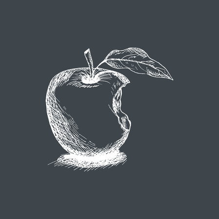 Vintage vector hand drawn apple on gray backgroundのイラスト素材