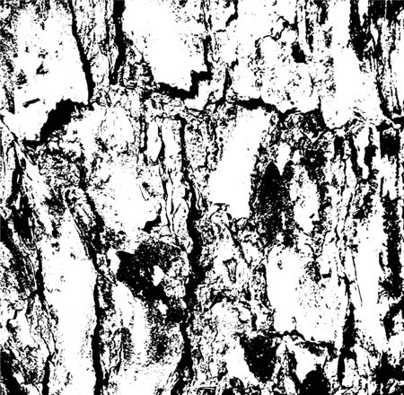 Wooden Planks distress overlay texture for your design. Vector illustration. Grunge texture.のイラスト素材