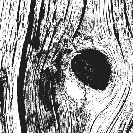 Tree Texture. Tree Background. Tree Effect. Tree Overlay. Grunge Black and White Distress Texture. Scratch Texture. Dirty Texture. Wall Background.のイラスト素材