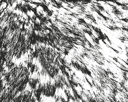 Distressed overlay texture of natural fur, grunge vector background. abstract halftone vector illustrationのイラスト素材