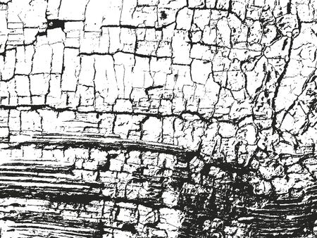 Distressed overlay wooden bark texture, grunge vector background.のイラスト素材