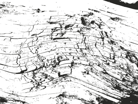 Distressed overlay wooden bark texture, grunge vector background.のイラスト素材