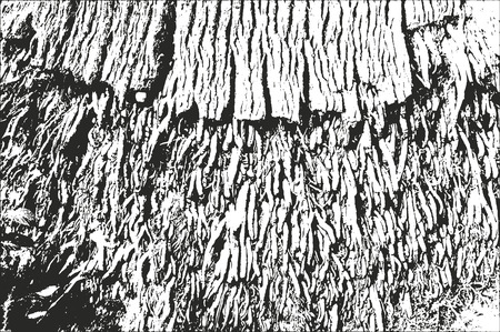 Distressed overlay wooden bark texture, grunge vector background.のイラスト素材