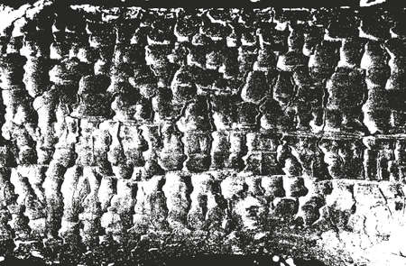 Distressed overlay wooden bark texture, grunge vector background.のイラスト素材