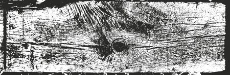 Distressed overlay wooden bark texture, grunge vector background.のイラスト素材