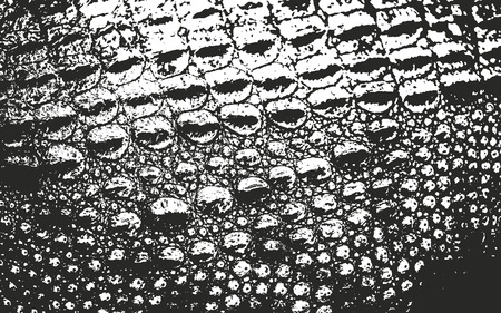 Distressed overlay texture of crocodile or snake skin leather, grunge vector background.のイラスト素材