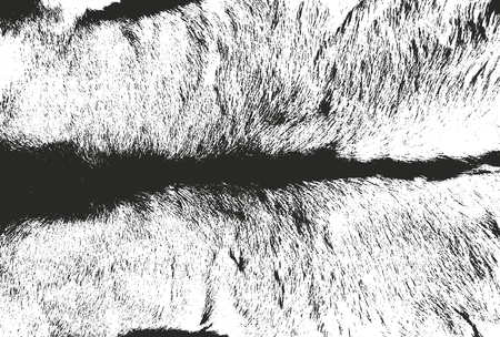 Distressed overlay texture of natural fur, grunge vector background. abstract halftone vector illustrationのイラスト素材