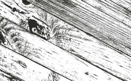 Distressed overlay wooden bark texture, grunge vector background.のイラスト素材