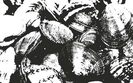 Distressed overlay texture of seashells. grunge background. abstract halftone vector illustration