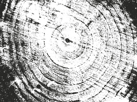 Distressed overlay wooden bark texture, grunge vector background.のイラスト素材