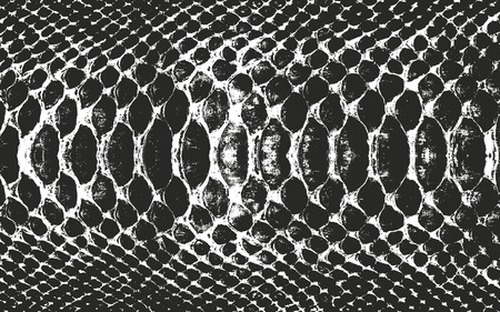 Distressed overlay texture of crocodile or snake skin leather, grunge vector background.