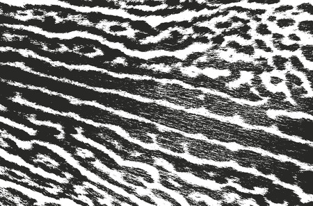 Distressed overlay texture of natural fur, grunge vector background. abstract halftone vector illustrationのイラスト素材