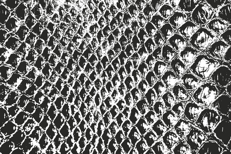 Distressed overlay texture of crocodile or snake skin leather, grunge vector background.のイラスト素材