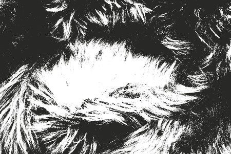 Distressed overlay texture of natural fur, grunge vector background. abstract halftone vector illustrationのイラスト素材