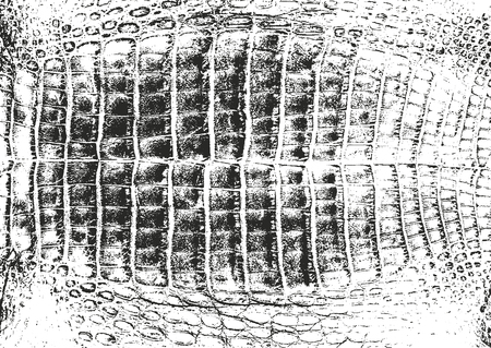 Distressed overlay texture of crocodile or snake skin leather, grunge vector background.のイラスト素材