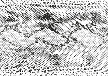 Distressed overlay texture of crocodile or snake skin leather, grunge vector background.のイラスト素材