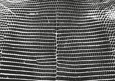 Distressed overlay texture of crocodile or snake skin leather, grunge vector background.のイラスト素材