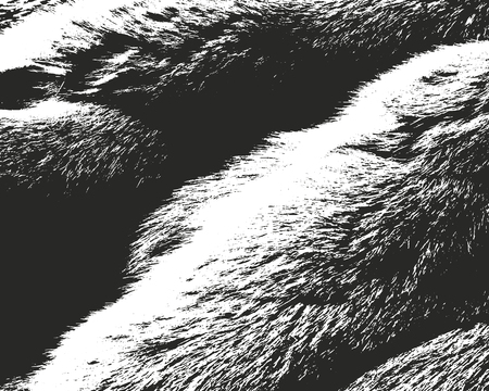 Distressed overlay texture of natural furのイラスト素材