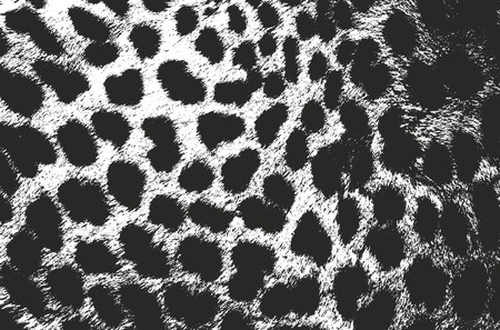 Distressed overlay texture of natural fur, grunge vector background. abstract halftone vector illustrationのイラスト素材