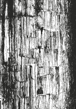 Distressed overlay wooden texture, grunge vector background.のイラスト素材
