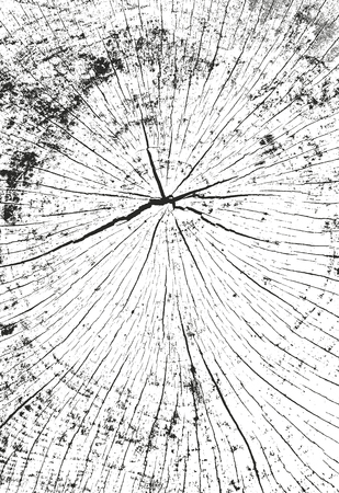 Distressed overlay wooden texture, grunge vector background.のイラスト素材