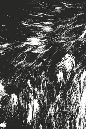Distressed overlay texture of natural fur, grunge vector background. abstract halftone vector illustration.のイラスト素材