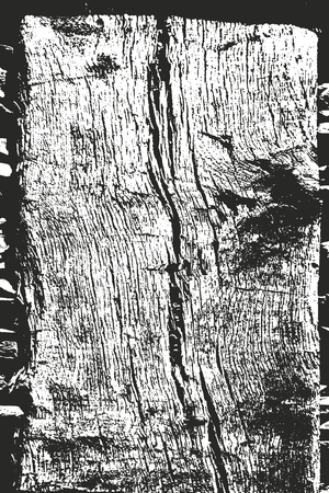 Distressed overlay wooden texture, grunge vector background.のイラスト素材