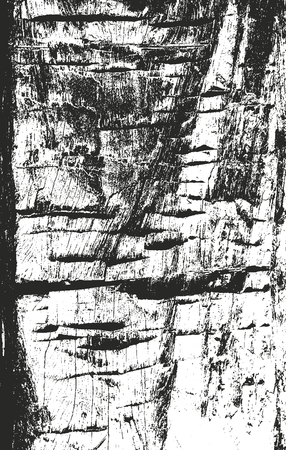 Distressed overlay wooden texture, grunge vector background.のイラスト素材