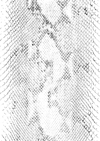 Distressed overlay texture of crocodile or snake skin leather, grunge vector background.のイラスト素材