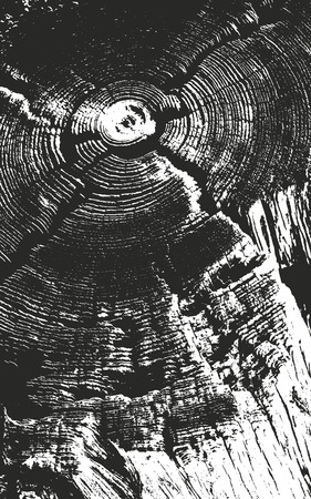 Distressed overlay wooden texture, grunge vector background.のイラスト素材