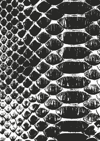 Distressed overlay texture of crocodile or snake skin leather, grunge vector background.のイラスト素材