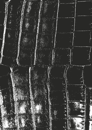 Distressed overlay texture of leather background.のイラスト素材