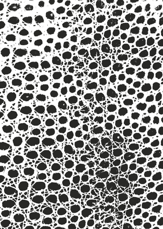 Distressed overlay texture of crocodile or snake skin leather, grunge vector background.のイラスト素材