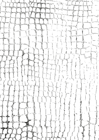 Distressed overlay texture of crocodile or snake skin leather, grunge vector background.のイラスト素材