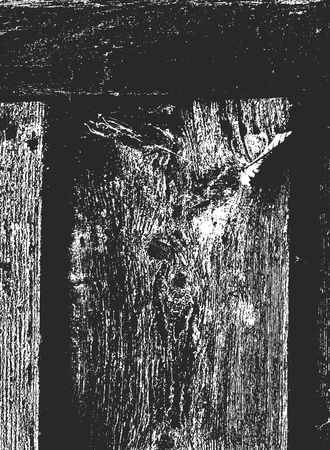 Distressed overlay wooden texture, grunge vector background.のイラスト素材