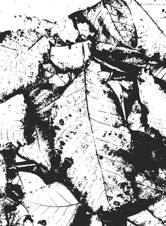 Distressed overlay texture of leaves on the ground, grunge vector background.のイラスト素材