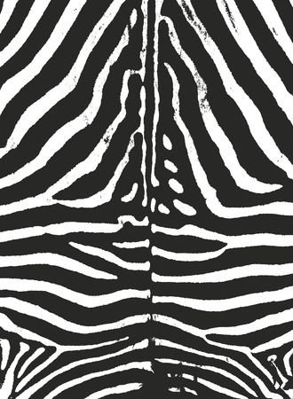 Distressed overlay texture of natural fur, grunge vector background. abstract halftone vector illustrationのイラスト素材