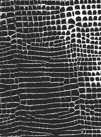 Distressed overlay texture of crocodile or snake skin leather, grunge vector background.のイラスト素材