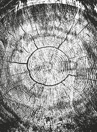 Distressed overlay wooden texture, grunge vector background.のイラスト素材