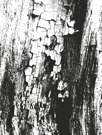 Distressed overlay wooden texture, grunge vector background.のイラスト素材