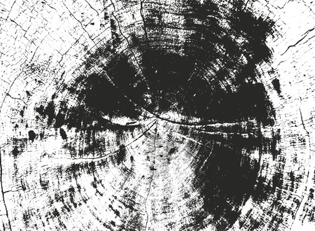 Distressed overlay wooden texture, grunge vector background.のイラスト素材